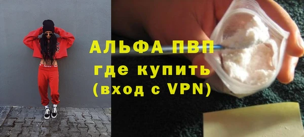 сатива Костерёво
