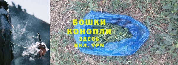молекула духа Коряжма