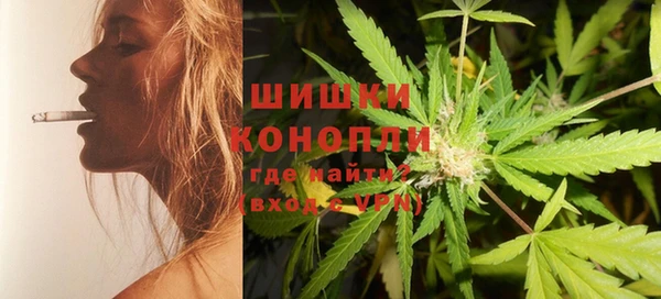 сатива Костерёво