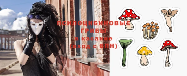 молекула духа Коряжма