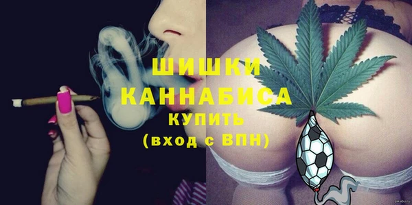 молекула духа Коряжма