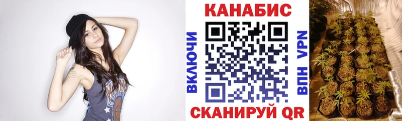 Бошки Шишки сатива Черноголовка
